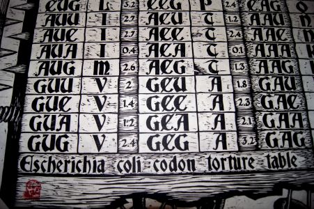 E.coli Codon Torture Table XXL Woodcut